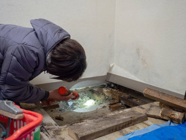 Best Post-Remediation Verification Testing  in South Greensburg, PA