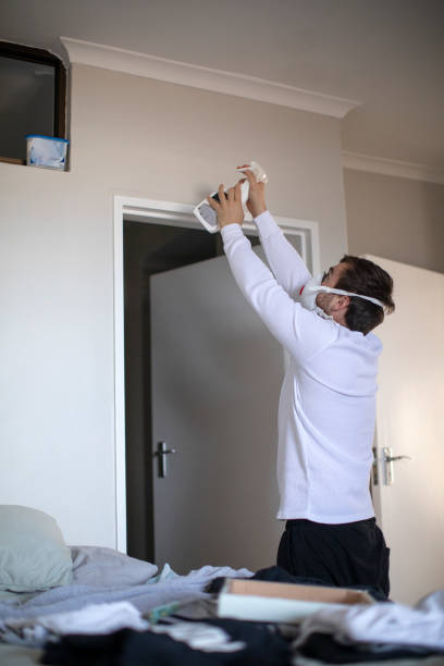 Best Mold Prevention Services  in South Greensburg, PA